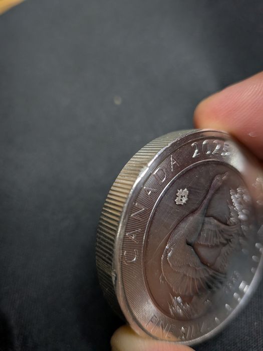 Moeda 2 onças prata 10 dólares Canadá 2025