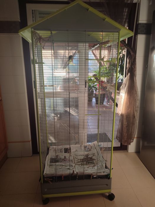 Gaiola grande para pássaros