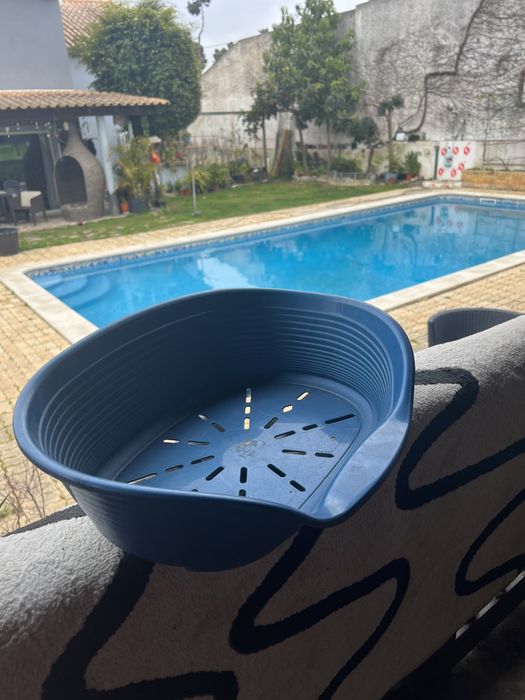 Caixa de gatos ou cães