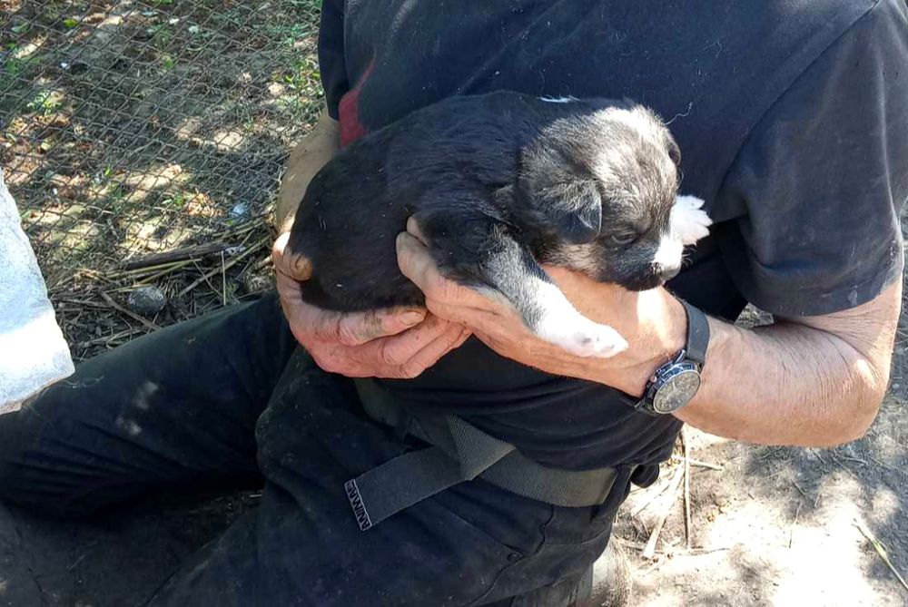 Бесплатно классные малышки