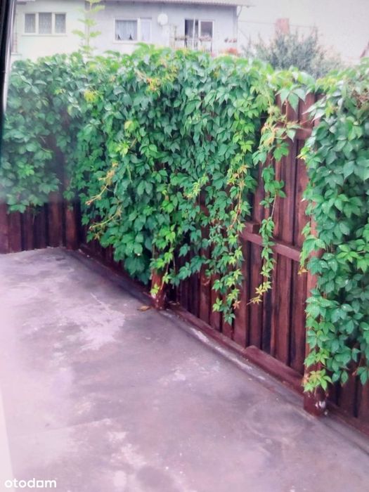 Zdjęcie 2
