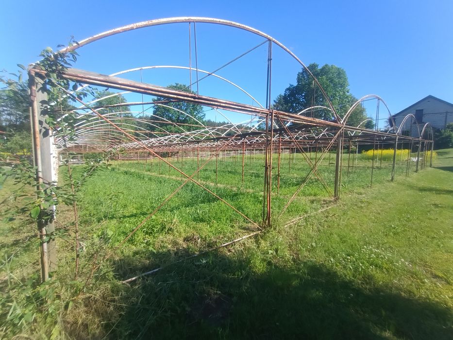 Tunel ogrodnicz, szklarnia