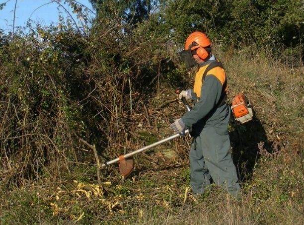 Limpeza de terrenos e trabalhos agrícolas