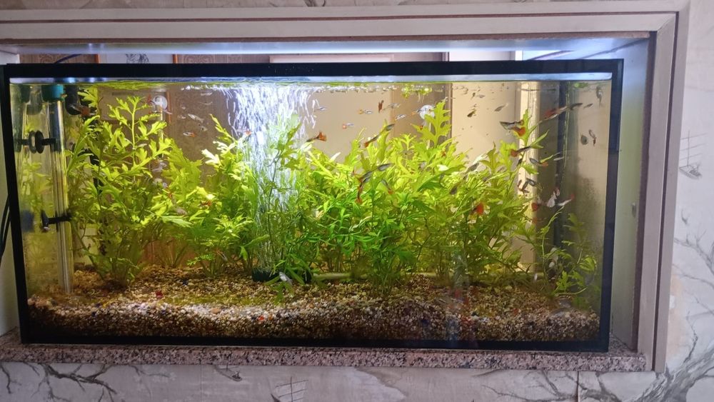 Vendo aquario todo completo urgente