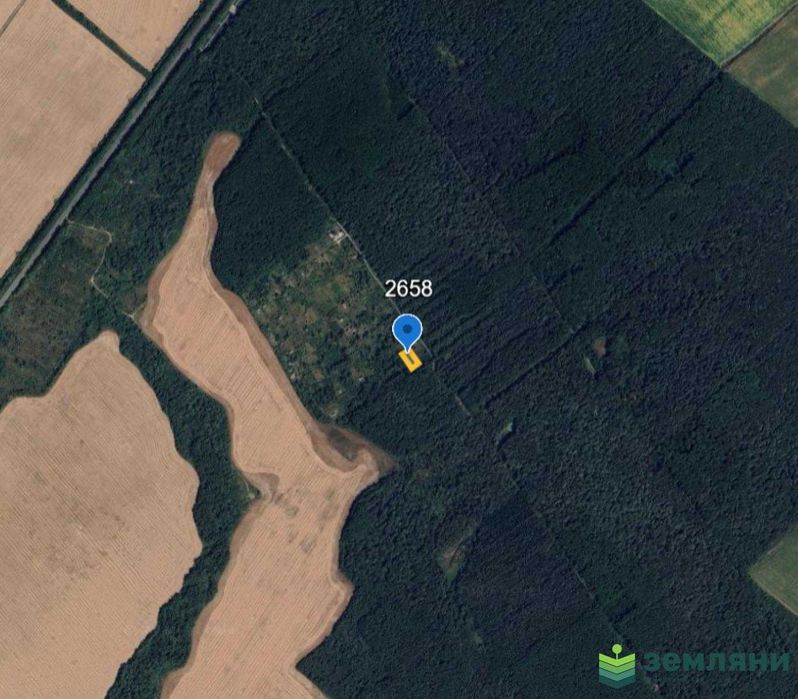 Дачна ділянка Ст Мочари 12 сот (9)