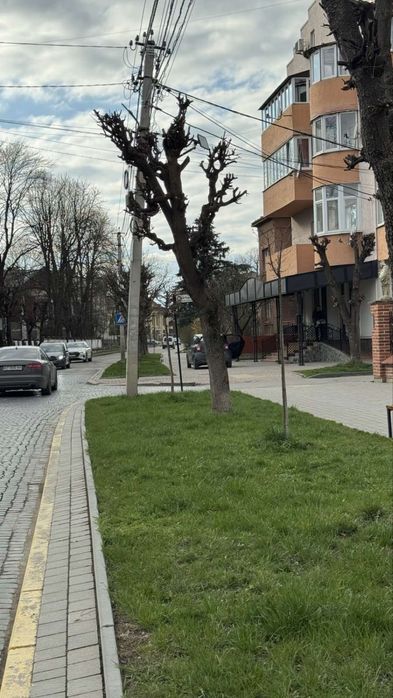 Здамо в оренду приміщення біля гімназіі 90 квм