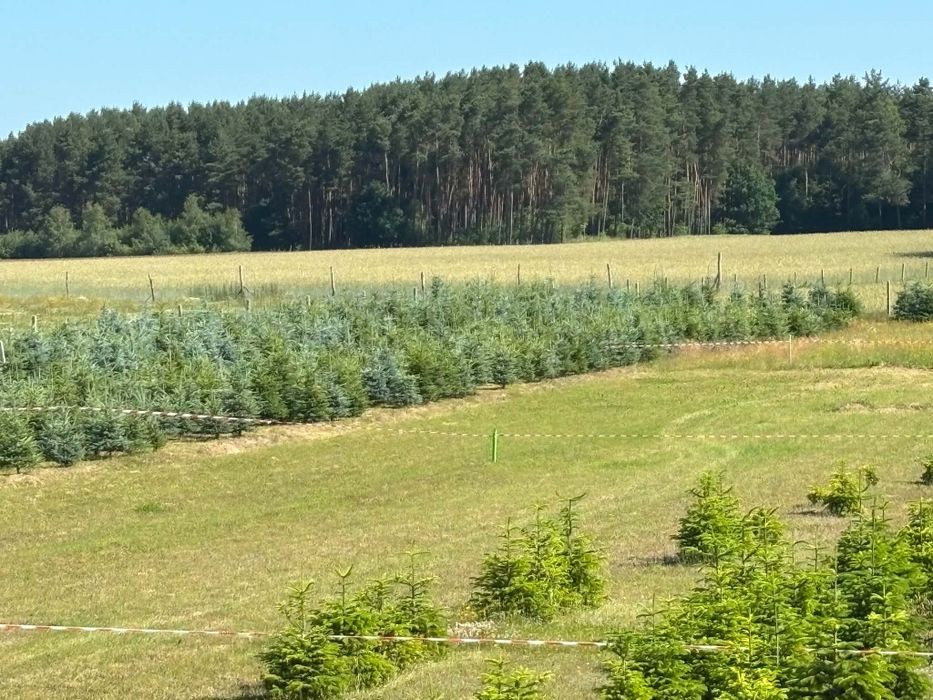 Sprzedam działke