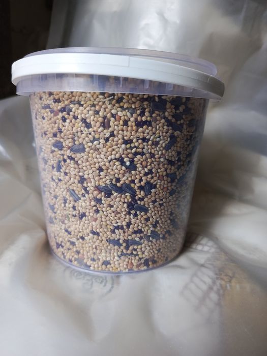 Насіння збалансоване в контейнері та на вагу