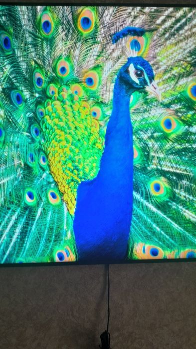 Телевізор Samsung UE75