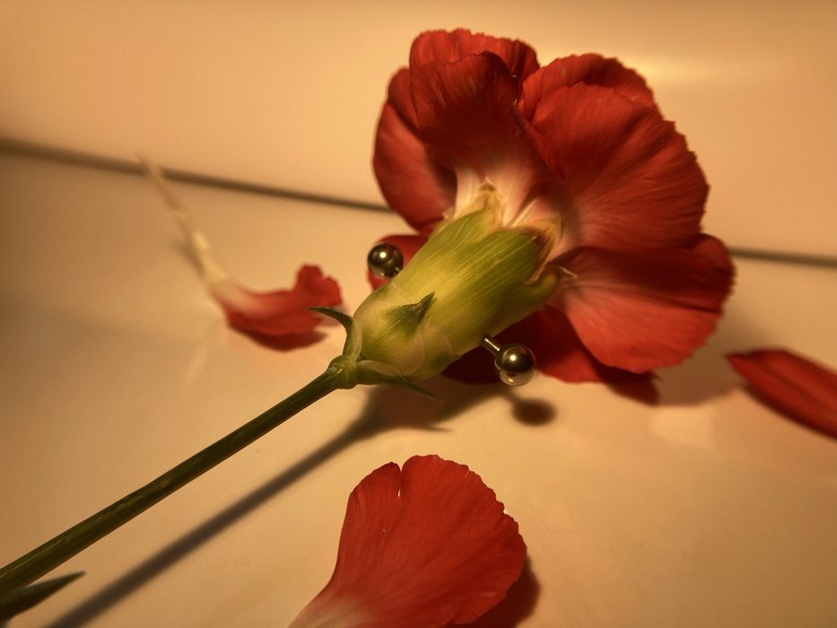 Kolczyk sztanga tytanowa