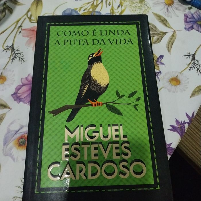 Como é linda a puta da vida. Portes incluídos