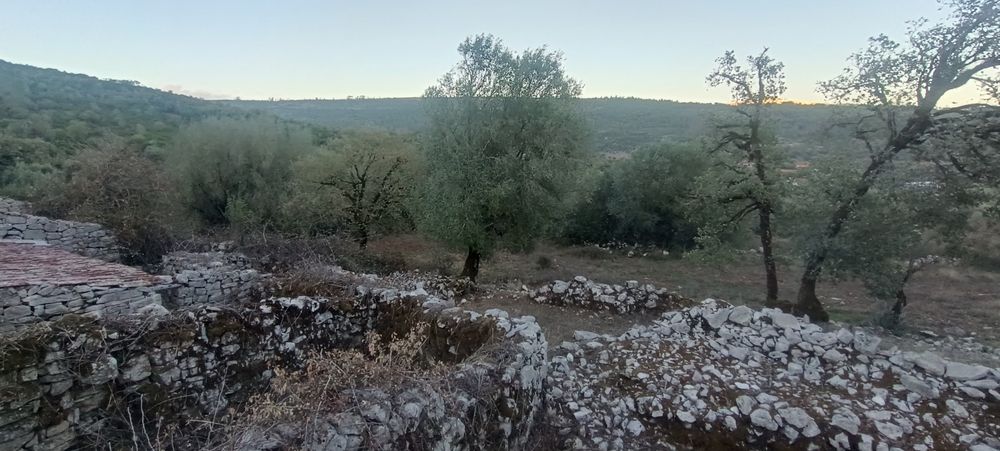 Terreno urbano no PNSAC – 1.525 m² | Alcanede | Sossego e Natureza