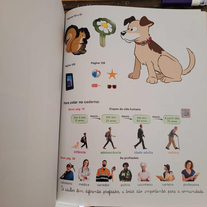 3 Manuais Vamos 1°ano