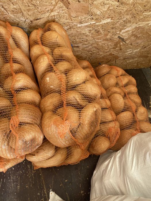 Chleb dla zwierząt - super okazja