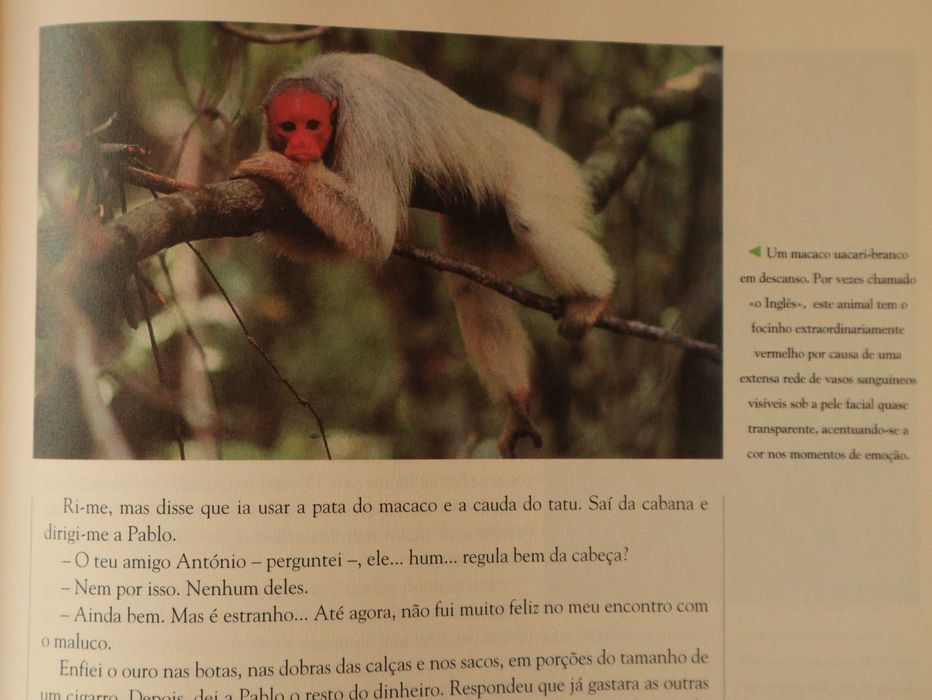 À Descoberta da Amazónia