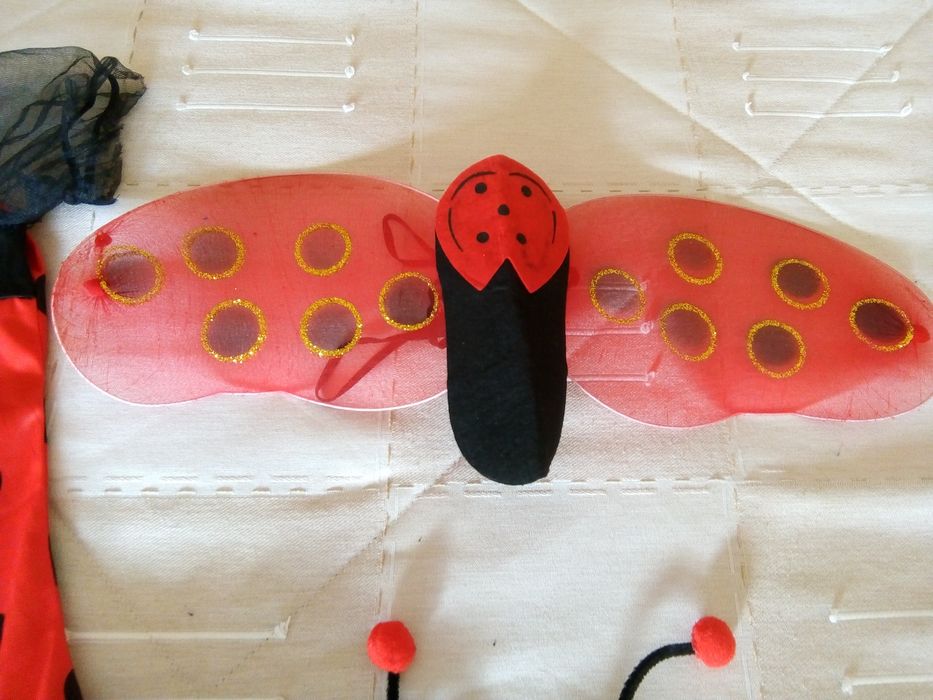 Roupa de carnaval 7/9 anos joaninha.