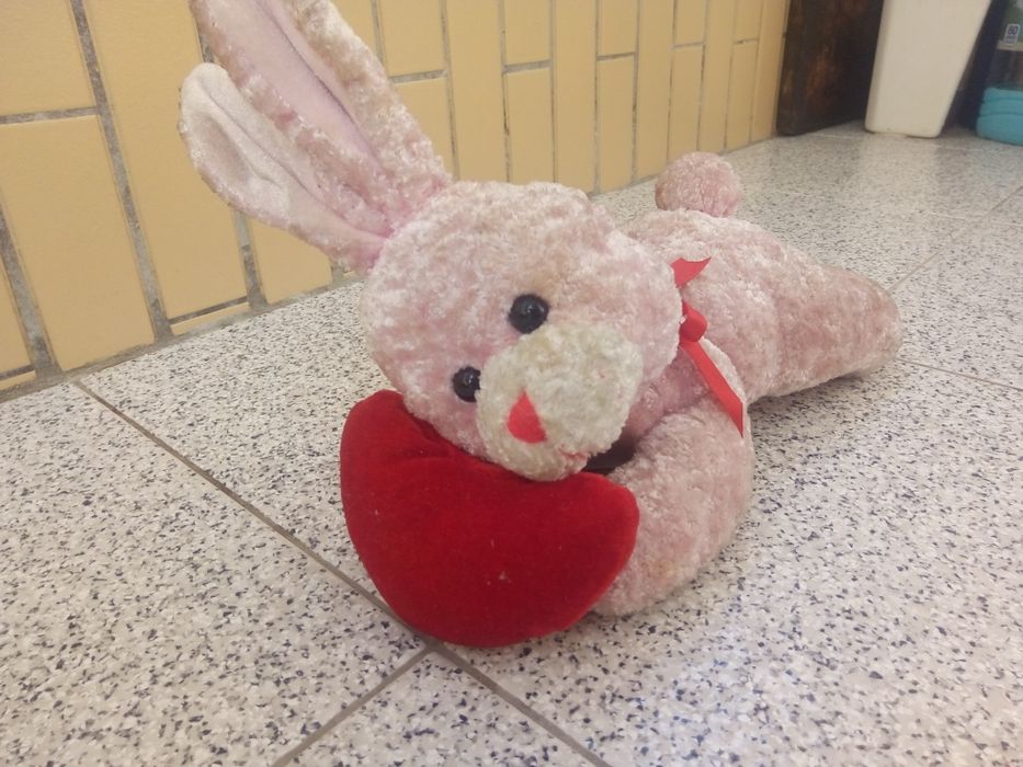 Peluche coelho com coração