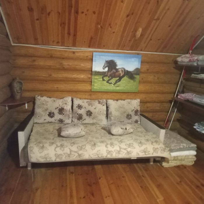 Будинок/Сруб/Баня у лісі