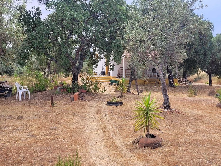 Conheça a quinta com que sempre sonhou.