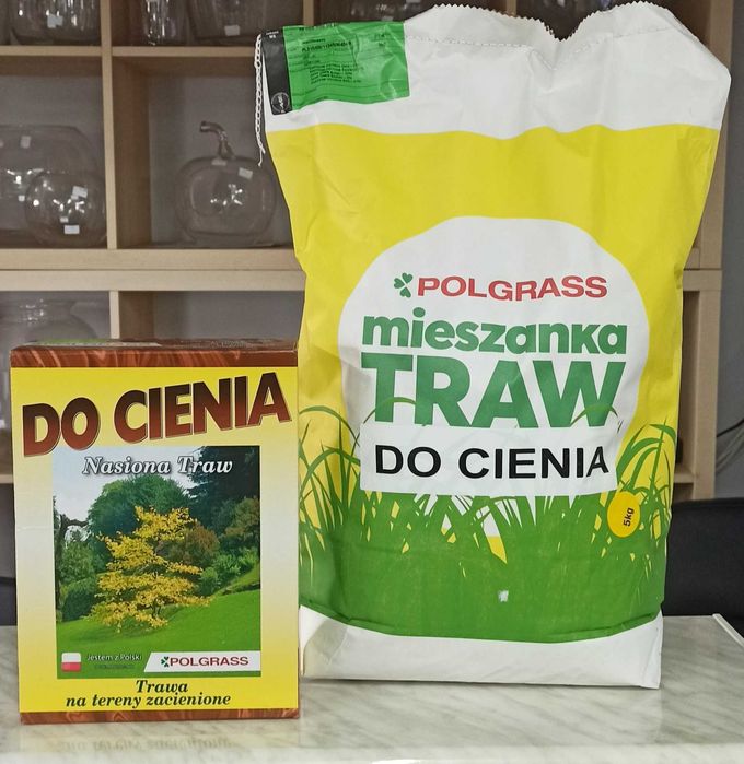 NASIONA TRAW Trawa trawnik  różne rodzaje i opakowania