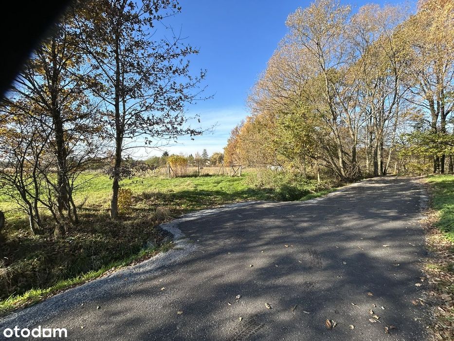 Działka budowlana 810m², blisko lasu Pogwizdów pow. Cieszyn
