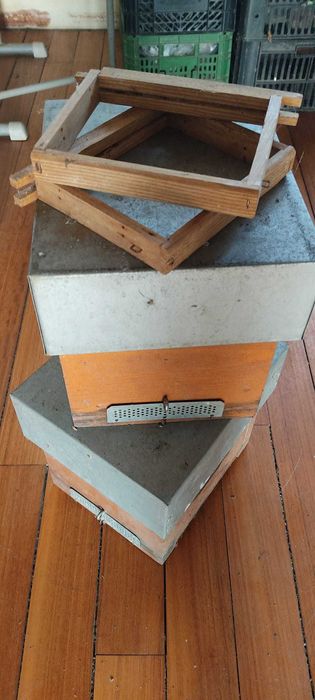 Núcleos de Fecundação de Abelhas Rainhas