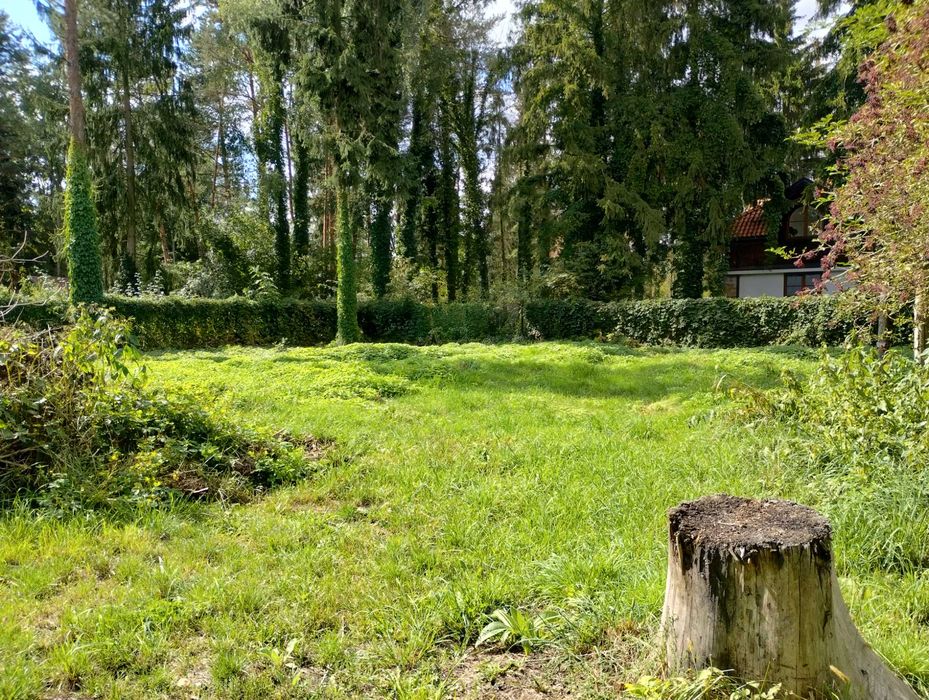 działka budowlana 2500 m2 (dom w cenie gruntu) Żółwin k.Podkowy Leśnej