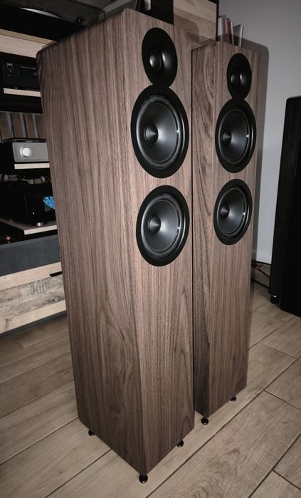 Підлогова Акустика Acoustic Energy AE 109