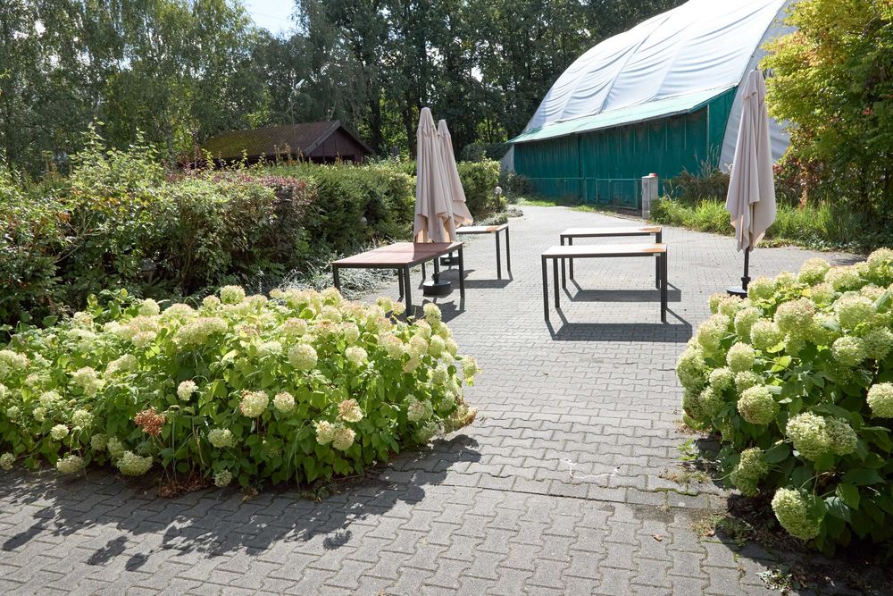 RESTAURACJA 200 m² | Lasek Marceliński | własny parking| ODSTĘPNE