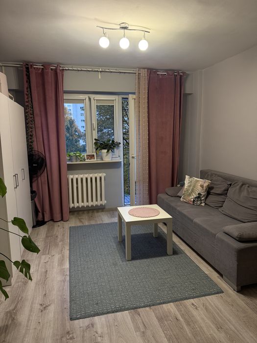 Bielany, wynajmę przestronny pokój!