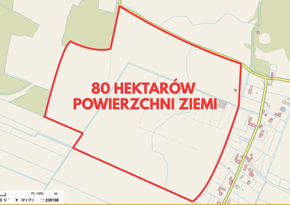 80 ha ziemi rolnej na sprzedaż – Olszyniec, gmina Żary