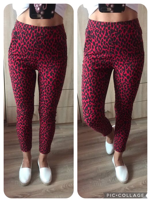 Zara spodnie w panterkę legginsy z wysokim stanem panterka S