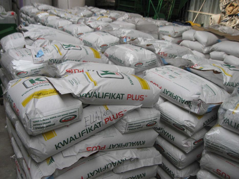 pszenica  przewódkowa Klaudyna C1 kwalifikat przewódka