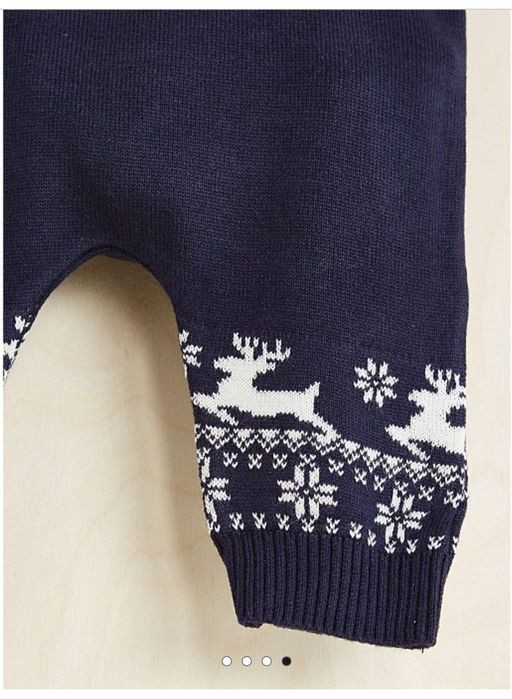 Фемели лук новогодний, новорічний