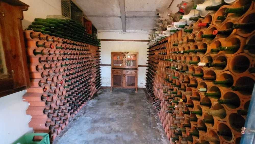 Garrafeira Unidades duplas em tijoleira