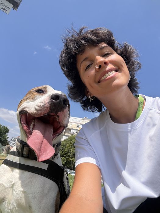 Pet sitting + dog walking rio maior / caldas da rainha / alcobaça
