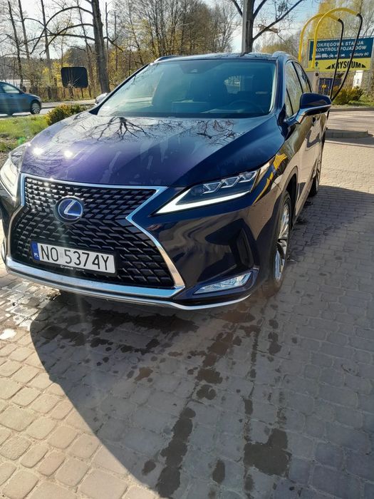 Lexus RX LEXUS Omotenashi