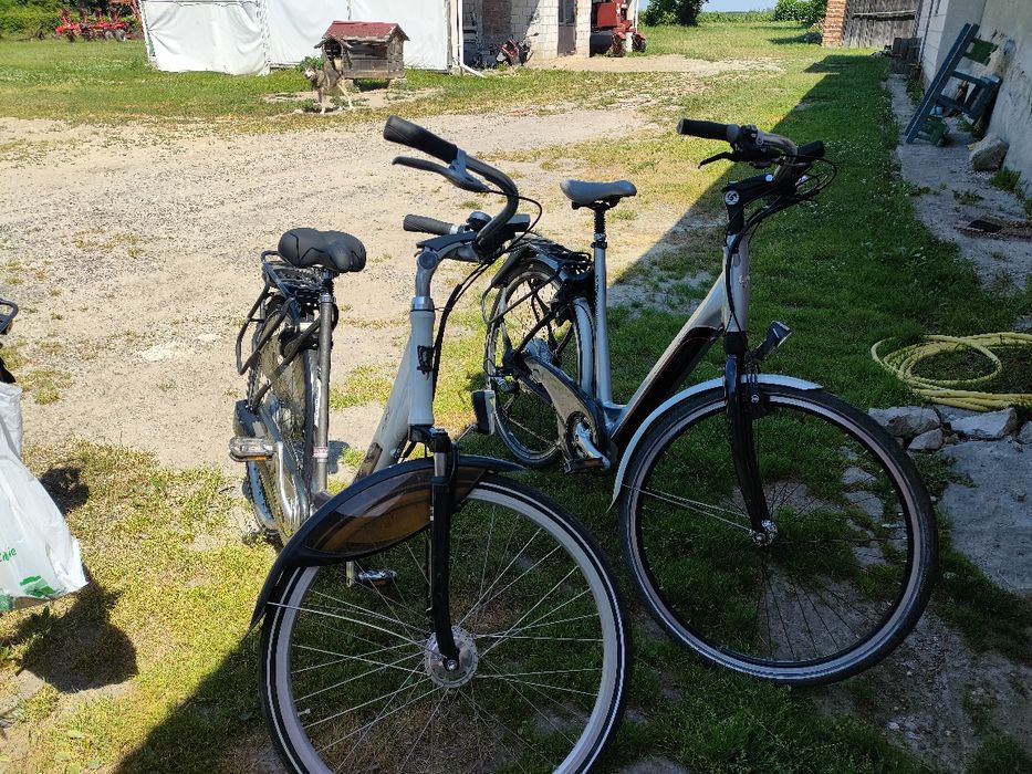 Rower holenderski SPARTA, BATAVUS, GIANT, KOGA