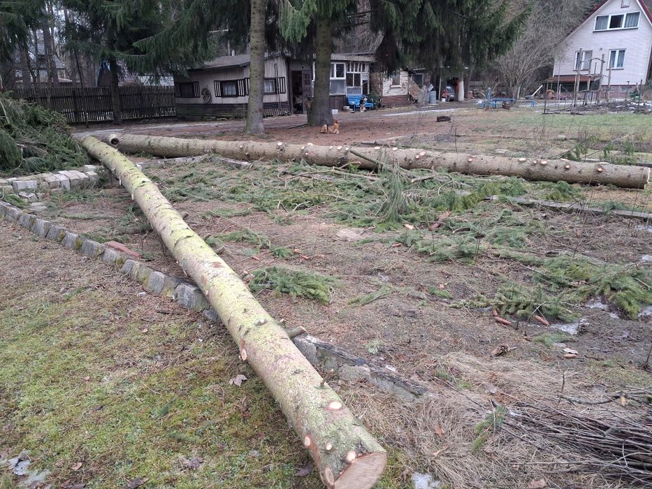 Drewno dłużyca / Świerk / Bobrowa / sprzedam