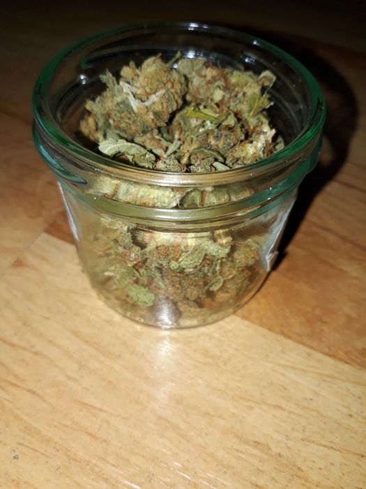 10g Trainwreck Susz Roślinny cbt cbl cbc Raj Haj z Kalifornii! Działa!