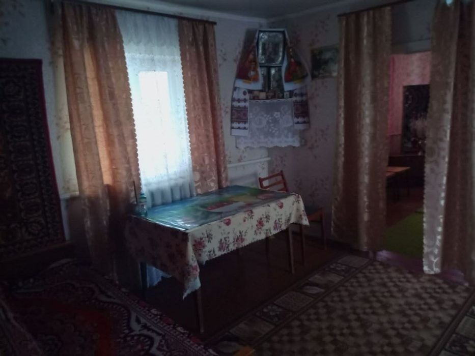 Продам будинок у селі Логвин