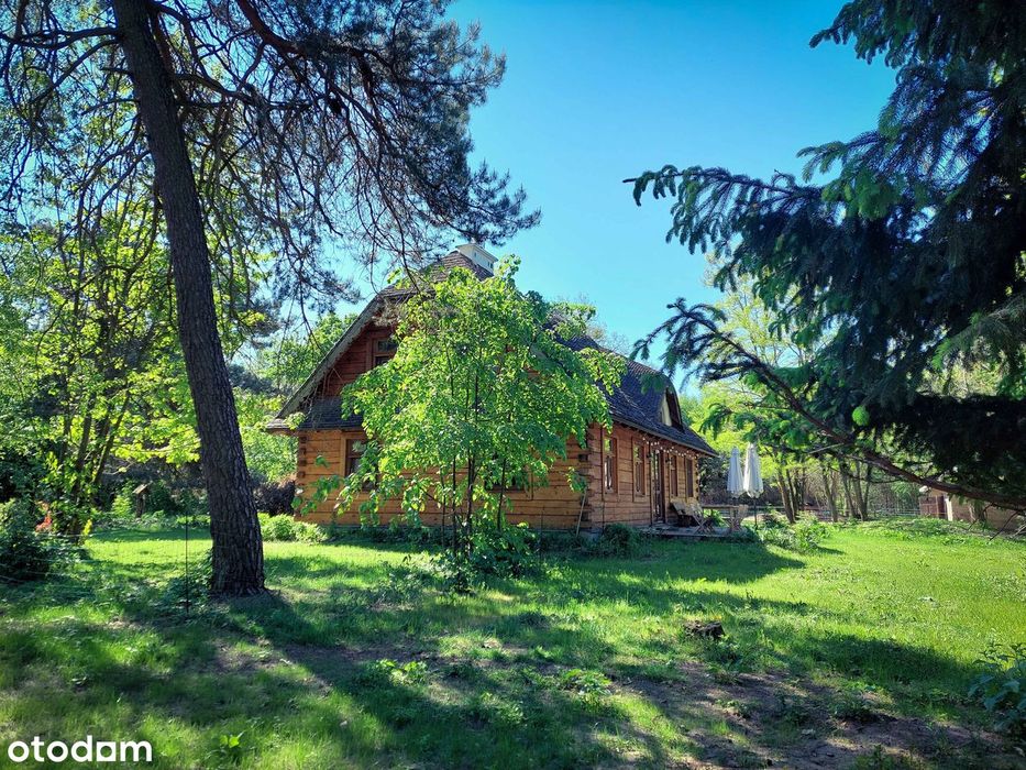 Działki bud. z drzewami od 2154 m² Błonie Cholewy / prąd / woda / gaz - Widok 3