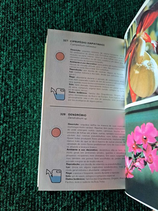 Tudo Verde - Guia das Plantas e Flores