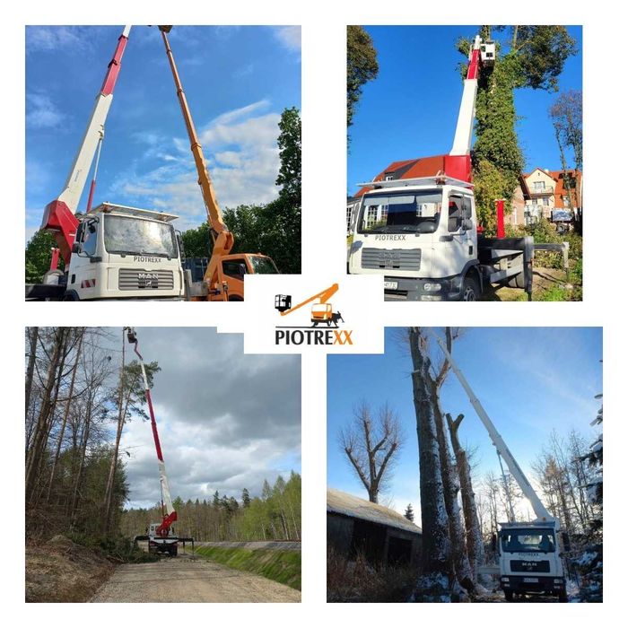 Przycinanie i Wycinanie Drzew / Rębak / Frezowanie Pni / Ogrody
