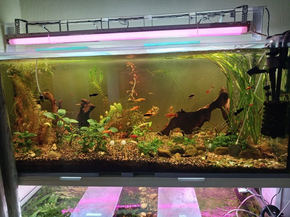 2 акваріума по 460 літрів, з стілажем.