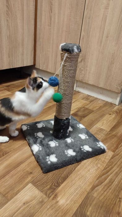 Когтеточка  дряпка для котенка