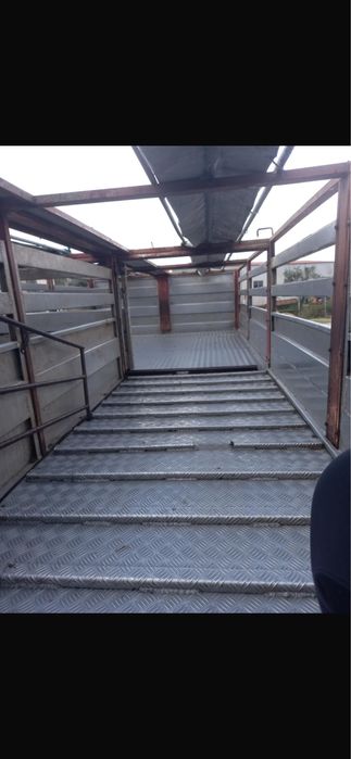 Atrelado de animais vivos