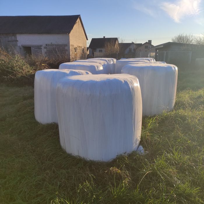 Siano kiszonka mieszanka Gorzowska bele 130cm