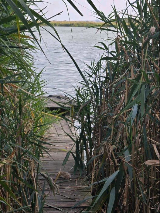 Обмін на Авто з доплатою продавця.