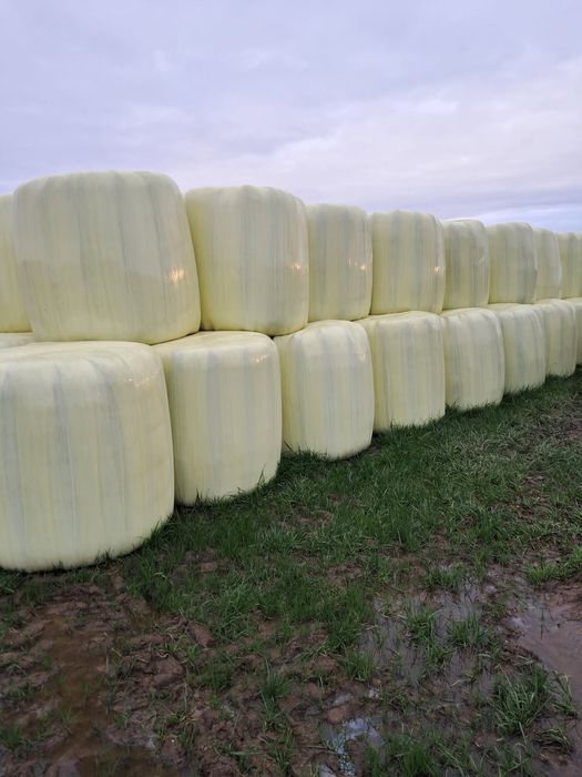 Baloty sianokiszonki